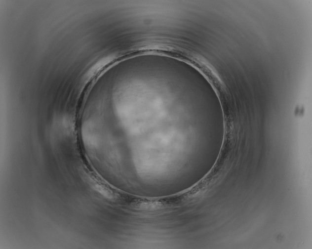 X0000091460882200708161520