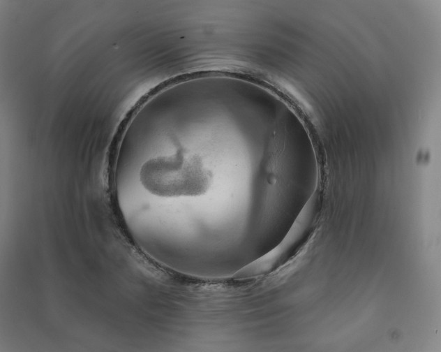 X0000091460883200708161520