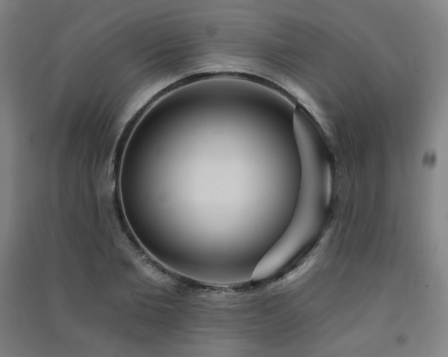 X0000091460885200708161520