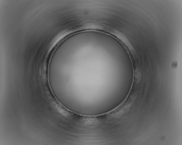 X0000091460886200708161520