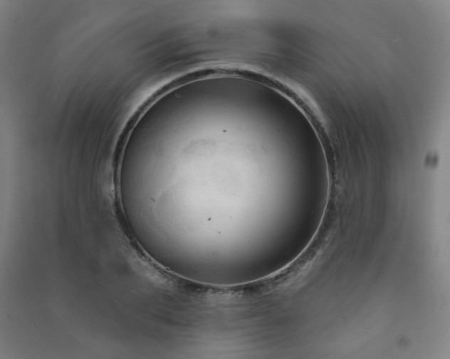 X0000091460887200708161520