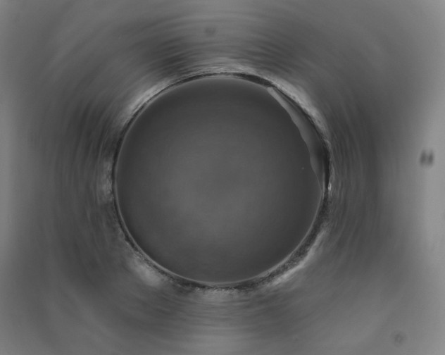 X0000091460889200708161520