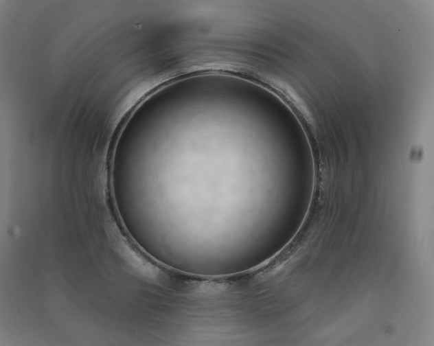 X0000091460890200708161520