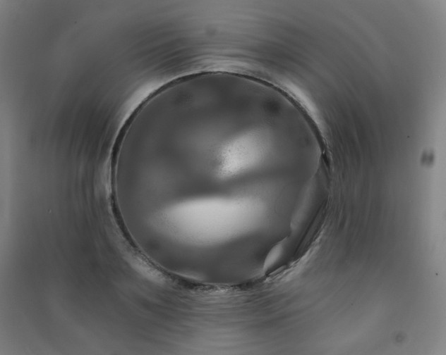 X0000091460891200708161520