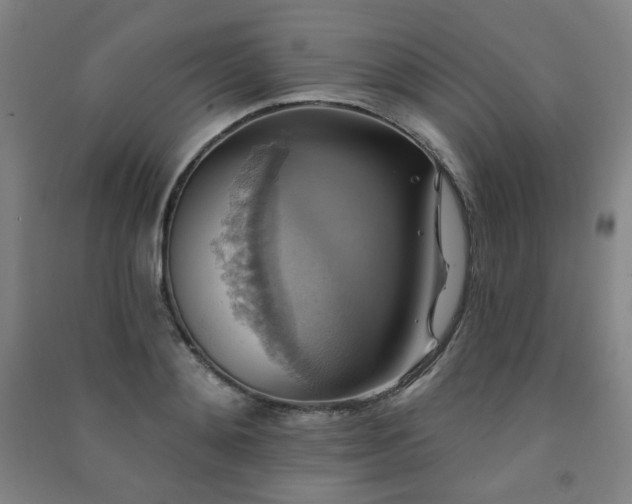 X0000091460892200708161520