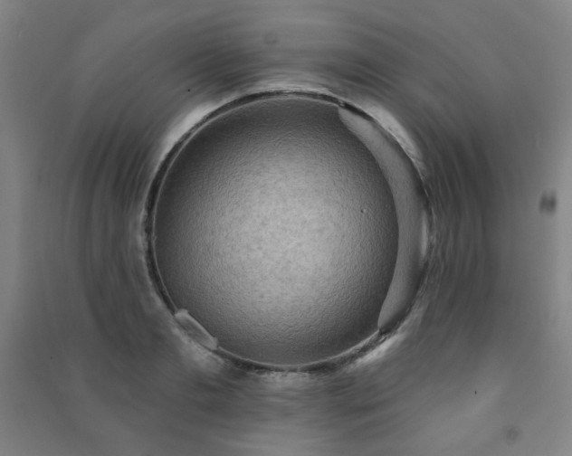 X0000091460893200708161520