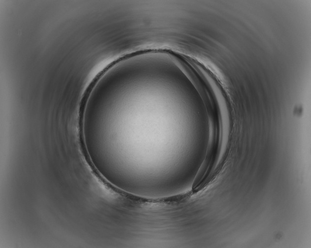 X0000091460894200708161520