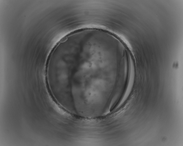 X0000091460895200708161520