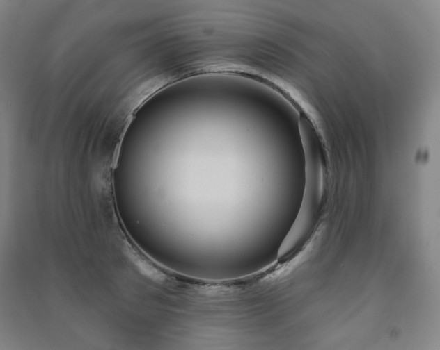 X0000091460897200708161520