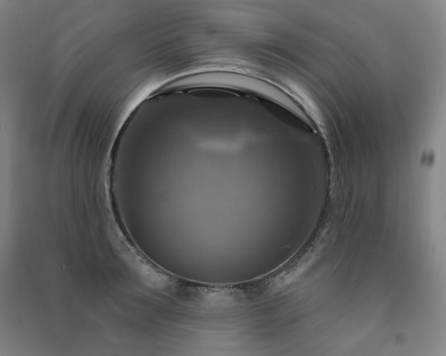 X0000091460899200708161520