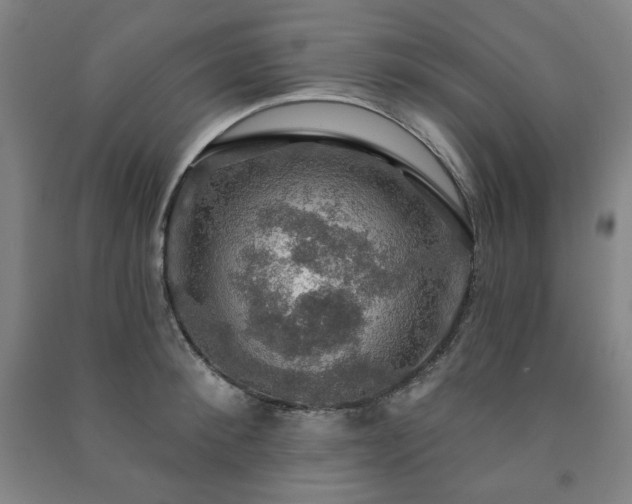 X0000091460900200708161520
