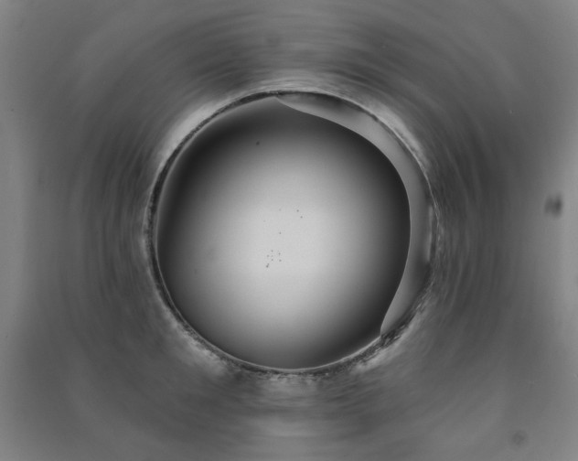 X0000091460901200708161520