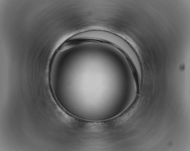 X0000091460902200708161520