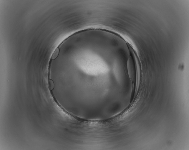 X0000091460903200708161520