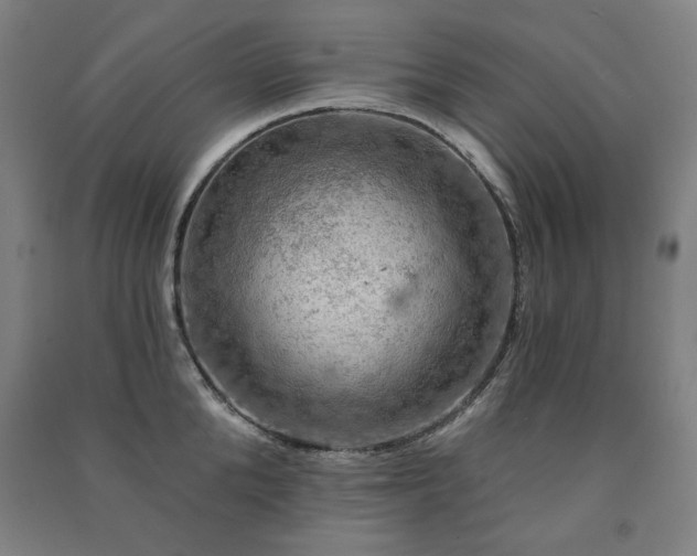X0000091460904200708161520