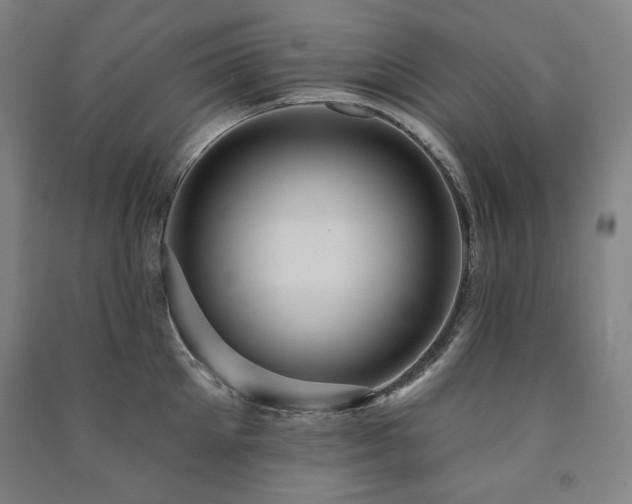 X0000091460905200708161520
