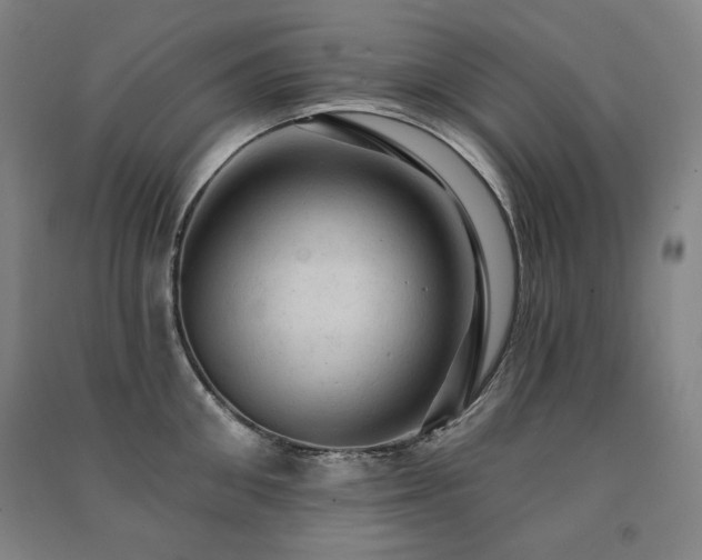 X0000091460906200708161520