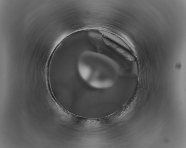 X0000091460907200708161520