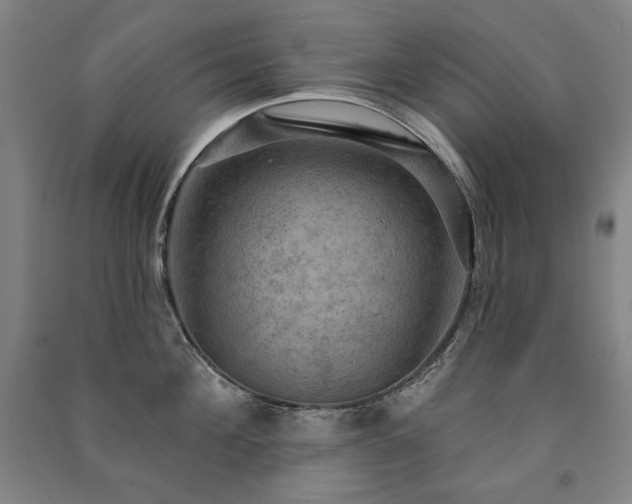 X0000091460908200708161520