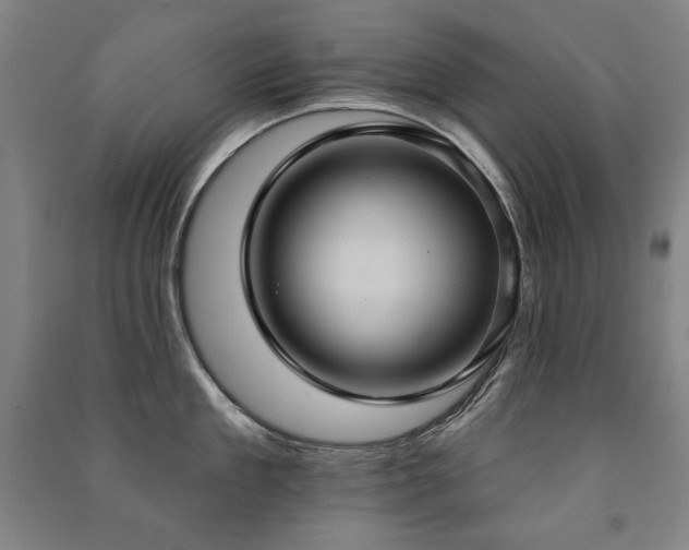 X0000091460909200708161520