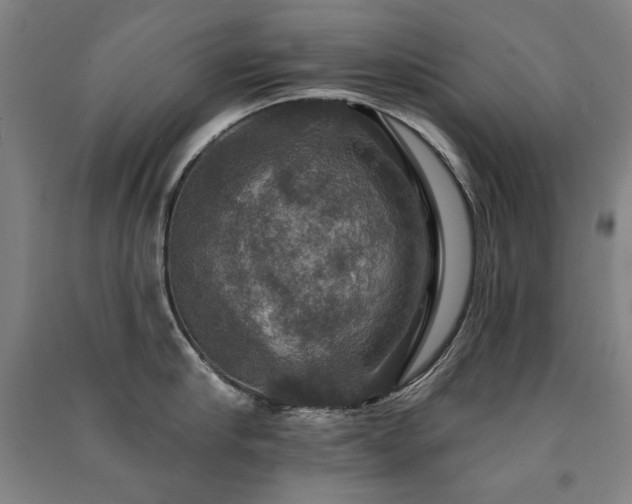 X0000091460910200708161520