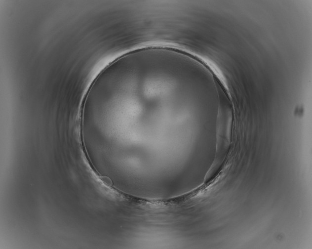 X0000091460911200708161520
