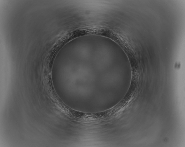 X0000091460913200708161519