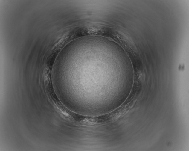 X0000091460914200708161519