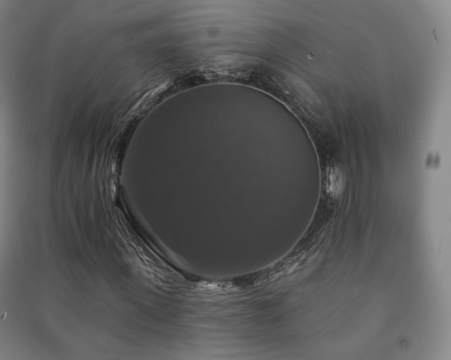 X0000091460915200708161519