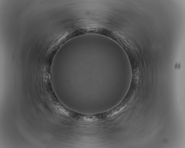 X0000091460916200708161519