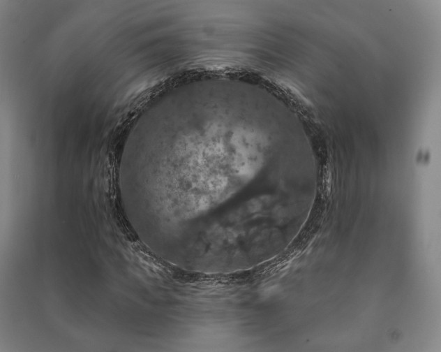 X0000091460917200708161519