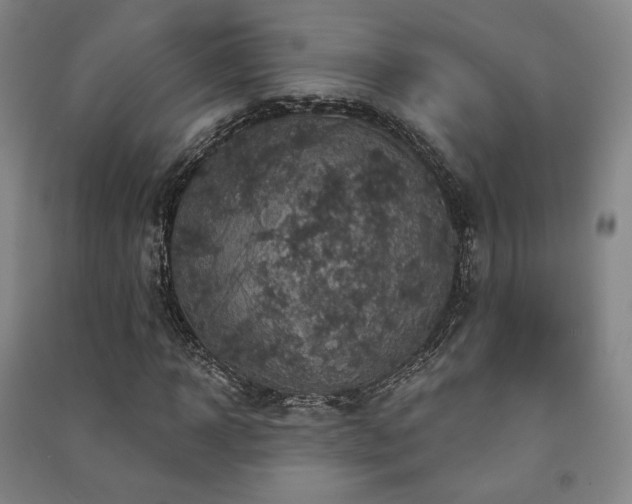 X0000091460918200708161519