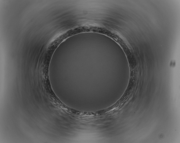 X0000091460919200708161519