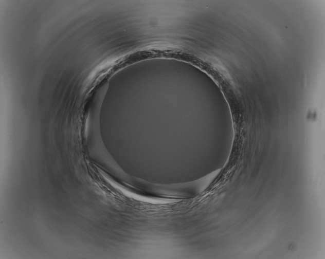 X0000091460920200708161519