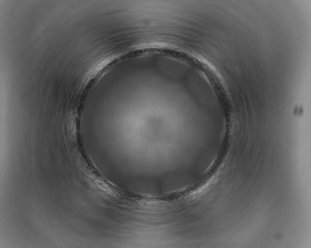 X0000091460921200708161519