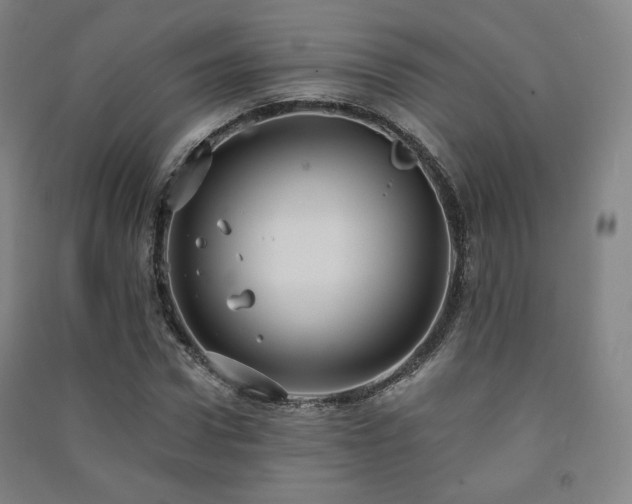 X0000091460922200708161519