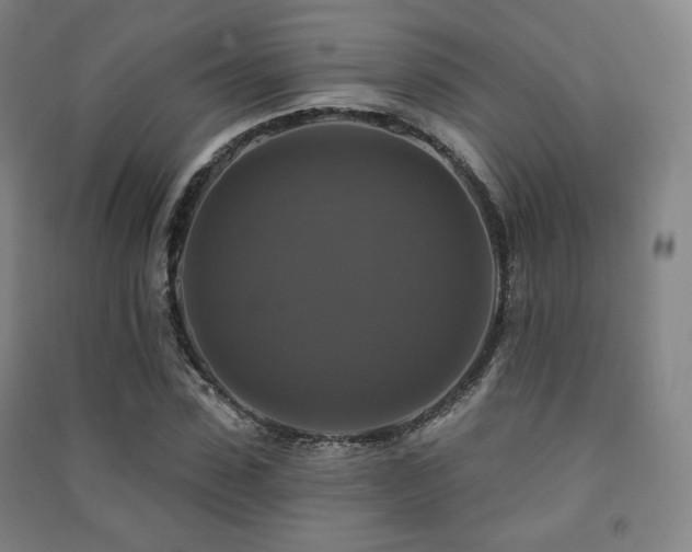 X0000091460923200708161519