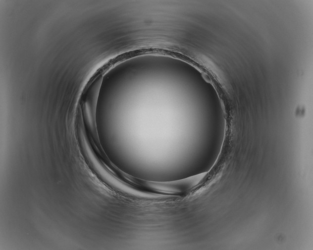 X0000091460924200708161519
