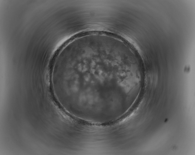 X0000091460925200708161519