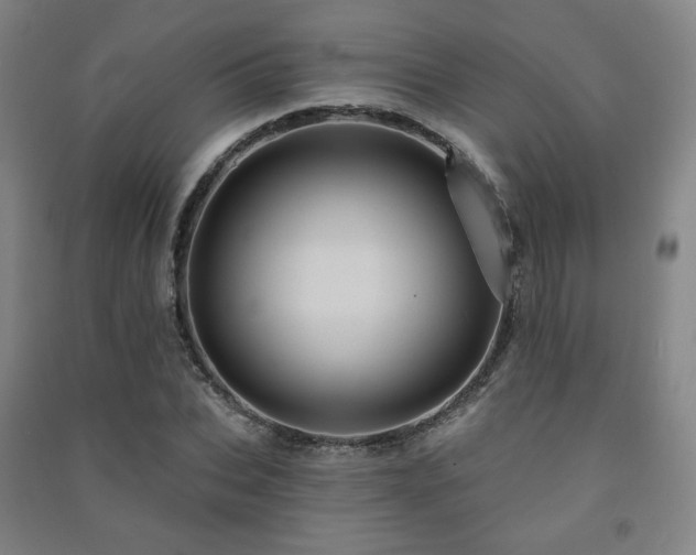 X0000091460927200708161519