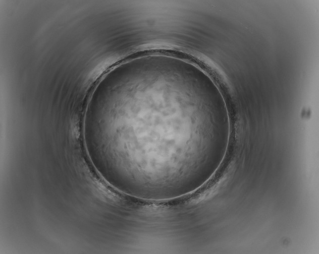X0000091460929200708161519