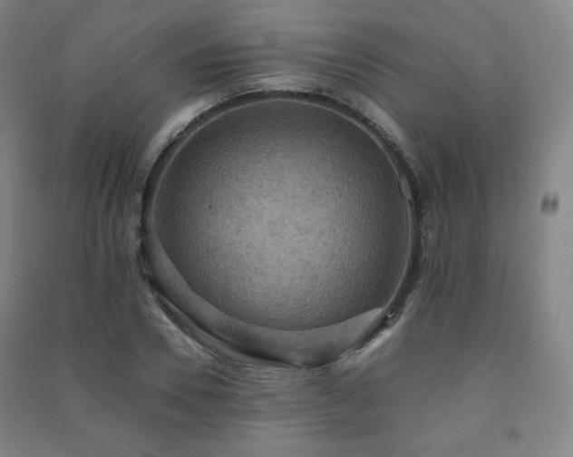 X0000091460930200708161519