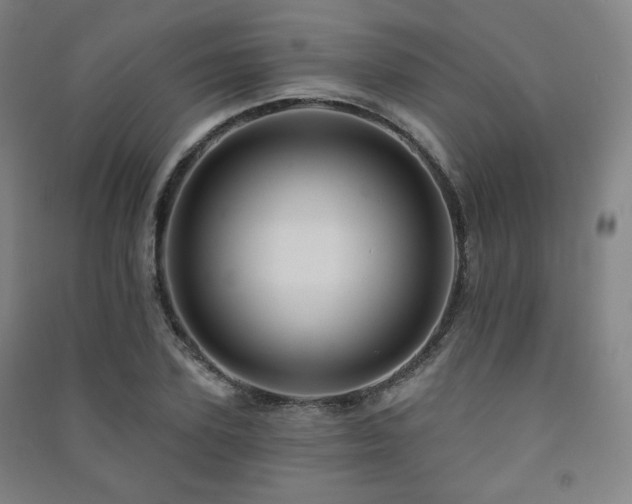 X0000091460931200708161519