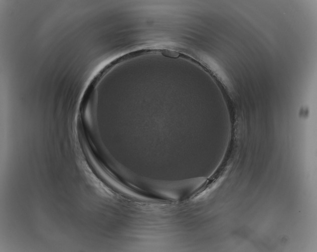 X0000091460932200708161519