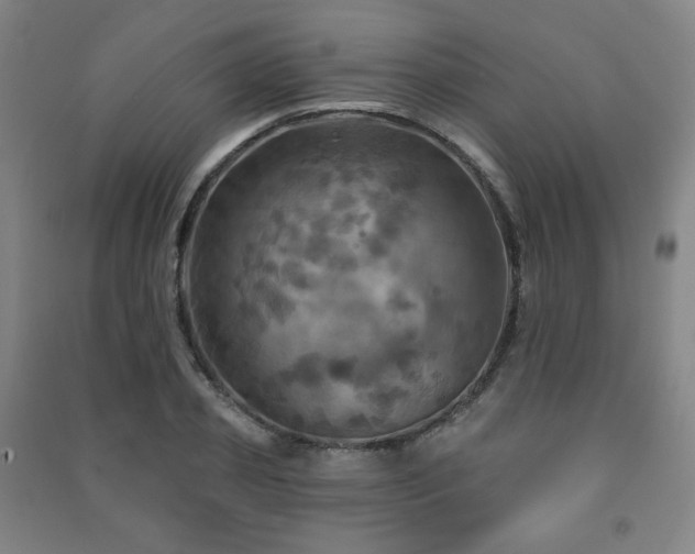 X0000091460933200708161519