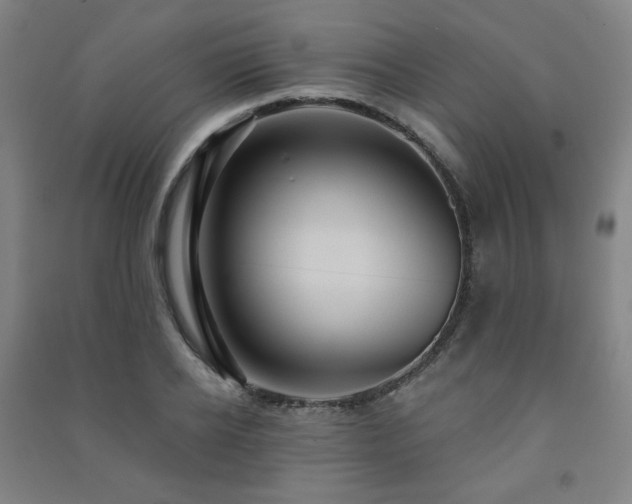X0000091460934200708161519