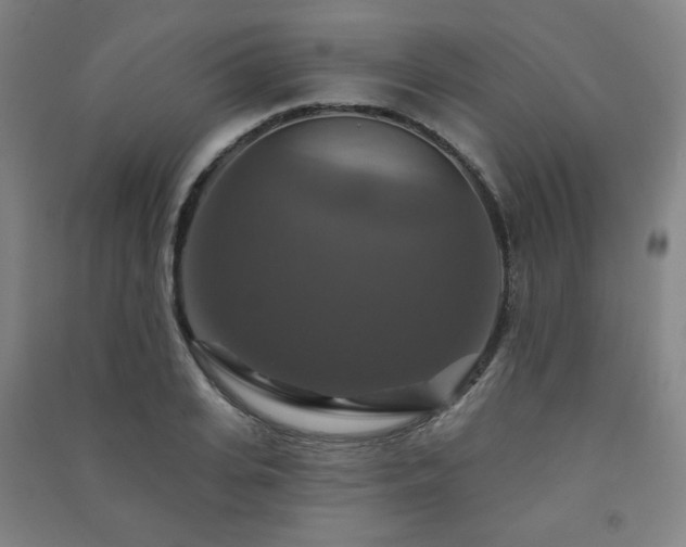 X0000091460935200708161519