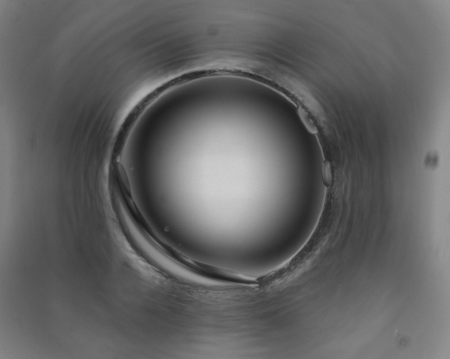 X0000091460936200708161519
