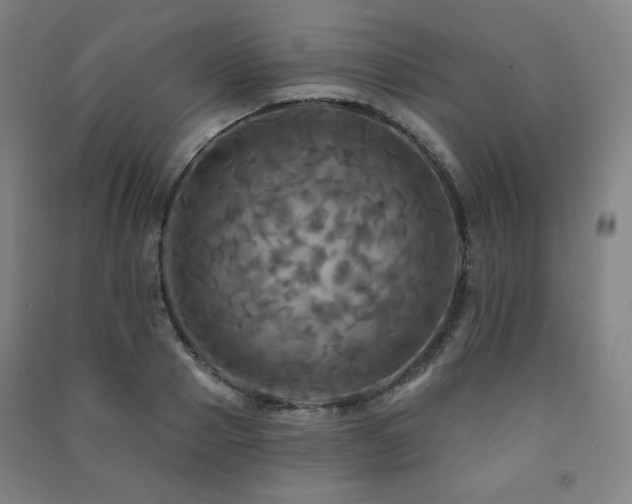 X0000091460937200708161519
