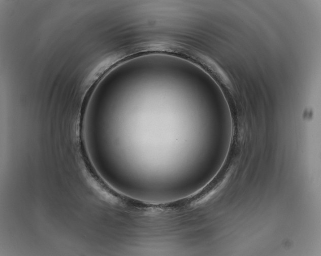 X0000091460938200708161519